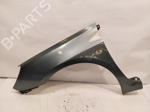 Left front fenders PEUGEOT 307 CC (3B) 1.6 16V | BP26222145C41 