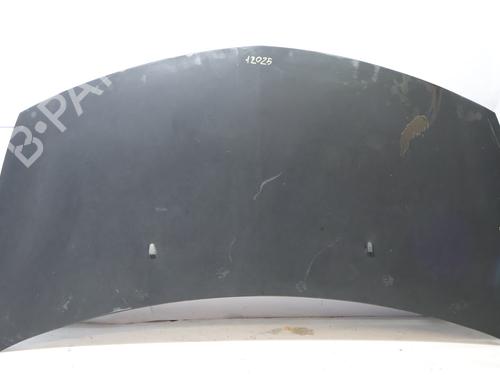 Motorhjelm Motorhjelm RENAULT CLIO III (BR0/1, CR0/1) 1.5 dCi (BR17, CR17) (86 hp) 37069051 37069051