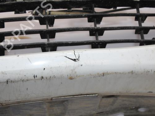 Front bumper RENAULT MEGANE II (BM0/1_, CM0/1_)  | BP17094593C7 