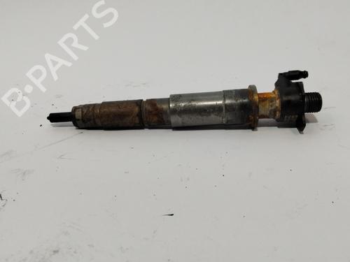 Injector NISSAN QASHQAI / QASHQAI +2 I (J10, NJ10, JJ10E)  | BP28136255M100 