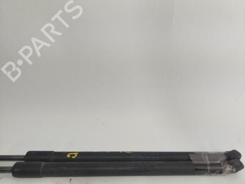 Tailgate lift support SEAT IBIZA IV SC (6J1, 6P5)  | BP24366756C138 