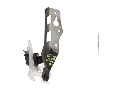 Hinge/Door check strap MERCEDES-BENZ E-CLASS (W213) E 220 d (213.004) | BP29464197C146 