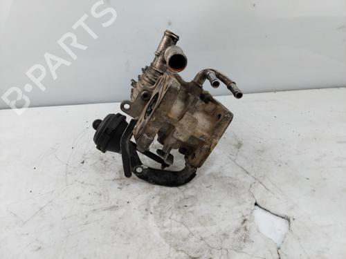 Egr SEAT TOLEDO III (5P2)  | BP19936279M69