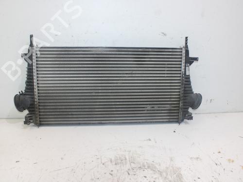 Used Intercooler OPEL INSIGNIA A Sports Tourer (G09) 2.0 CDTI (35) (160 hp) 17094879