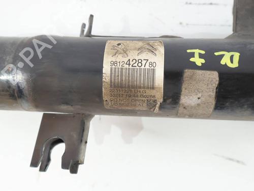 Left front shock absorber CITROËN C3 III (SX) | BP39559102M16 - Image 2