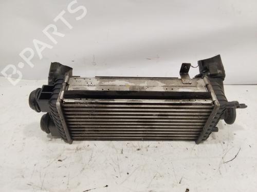 Intercooler KIA SPORTAGE V (NQ5)  | BP27878125M30 