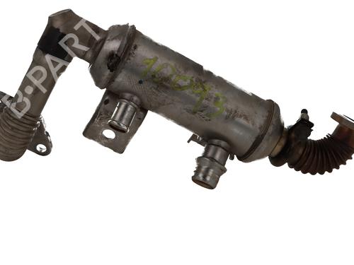 Used Egr FORD FOCUS C-MAX (DM2) [2003-2007]  30403301