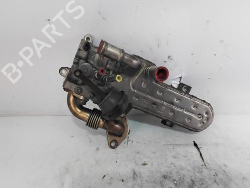 Egr VW PASSAT B6 (3C2)  | BP29831031M69
