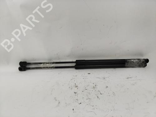 Tailgate lift support MERCEDES-BENZ A-CLASS (W169)  | BP21684626C138 