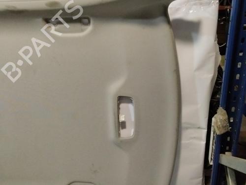 Interior roof MERCEDES-BENZ C-CLASS (W204)  | BP29618525I12 
