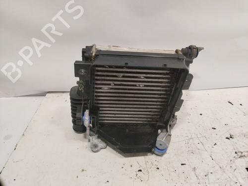 Intercooler OPEL COMBO Box Body/MPV (K9)  | BP29533324M30 