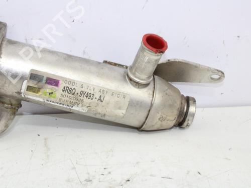 Egr JAGUAR S-TYPE II (X200) 2.7 D | BP14057465M69 