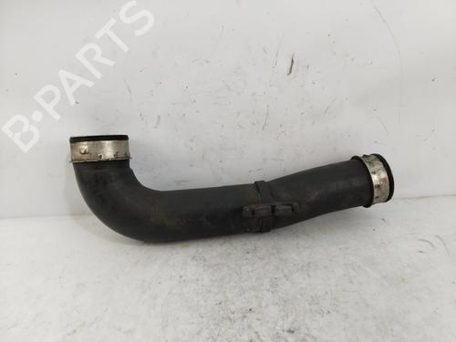 Pipe VW GOLF PLUS V (5M1, 521)  | BP24650620M125 
