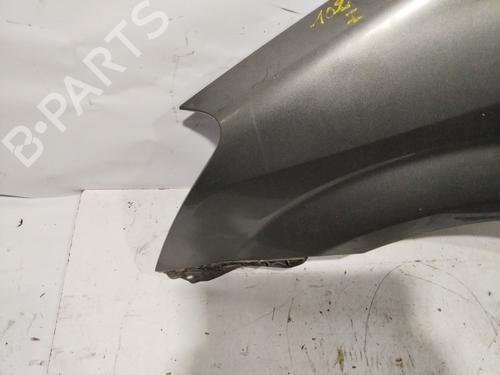 Left front fenders TOYOTA COROLLA Verso (ZER_, ZZE12_, R1_) 2.2 D-4D (AUR10_, AUR10R) | BP30138419C41 