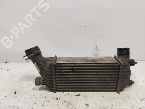 Ladeluftkühler für CITROËN JUMPY II (VF7) 2.0 HDi 120 (120 hp) 28478521