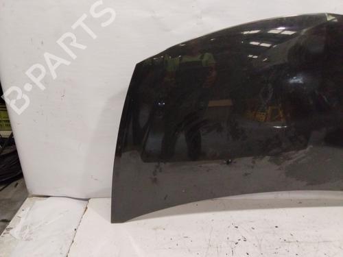 Hood RENAULT CLIO III (BR0/1, CR0/1)  | BP28136291C1 