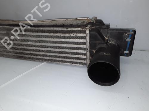 Intercooler CHEVROLET CAPTIVA (C100, C140) 2.0 D 4WD | BP9301219M30 