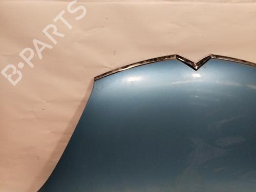 Hood CITROËN C4 Picasso I MPV (UD_) 1.6 HDi | BP28677090C1 