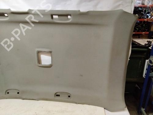 Interior roof BMW X1 (E84) sDrive 20 d | BP29905671I12