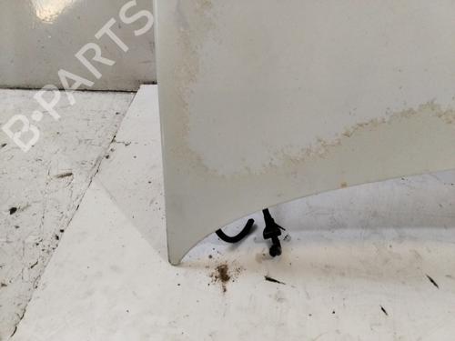 Hood RENAULT CLIO III (BR0/1, CR0/1)  | BP19804579C1 