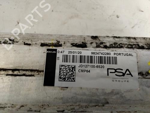 Intercooler PEUGEOT 2008 II (UD_, US_, UY_, UJ_, UR_, UC_)  | BP29963665M30