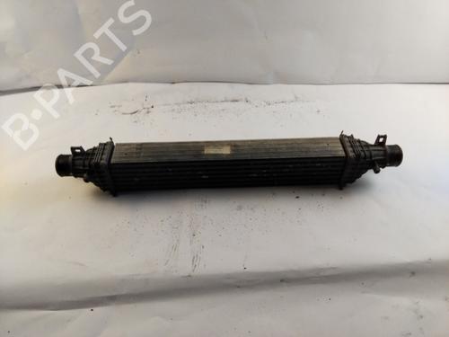 Used Intercooler ALFA ROMEO GIULIETTA (940_) 1.4 TB (940FXA1A, 940FXT1A) (120 hp) 20509472