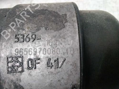 Oliekøler PEUGEOT 407 (6D_) | BP24253253M33