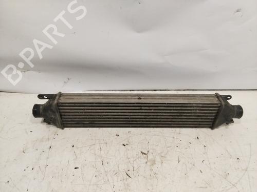 Intercooler OPEL COMBO Box Body/MPV (X12) 1.3 CDTI (B05) | BP25594797M30 