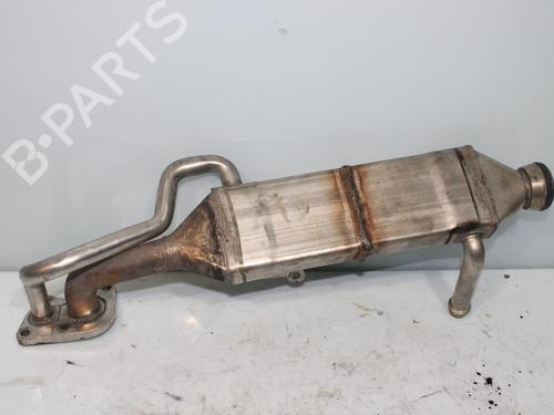 Egr MERCEDES-BENZ R-CLASS (W251, V251) | BP19422309M69