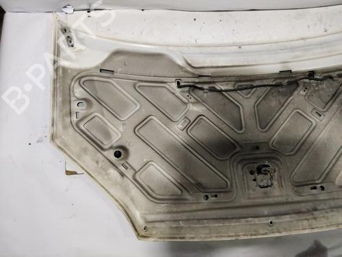 Panser FORD C-MAX (DM2) 1.6 TDCi | BP30391301C1 