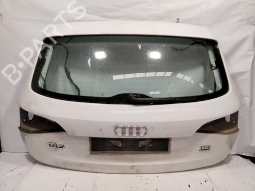 Tailgate AUDI Q5 (8RB)  | BP29070528C6 