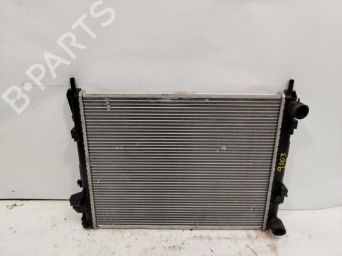 Køler RENAULT TRAFIC II Platform/Chassis (EL) 1.9 dCi 100 (EL0C) | BP26013529M31 