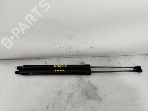 Tailgate lift support OPEL COMBO Box Body/MPV (K9)  | BP29533306C138 
