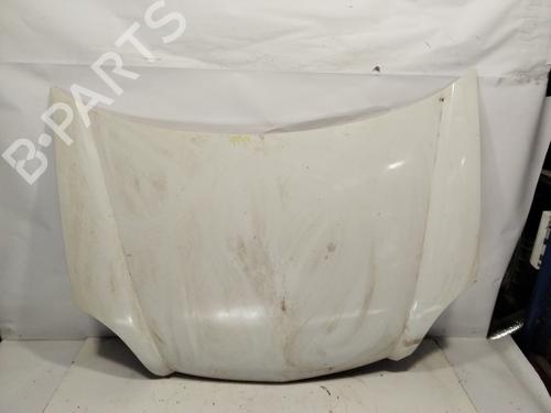 Used Hood RENAULT KANGOO (KC0/1_) 1.5 dCi (KC08, KC09) (82 hp) 29117375