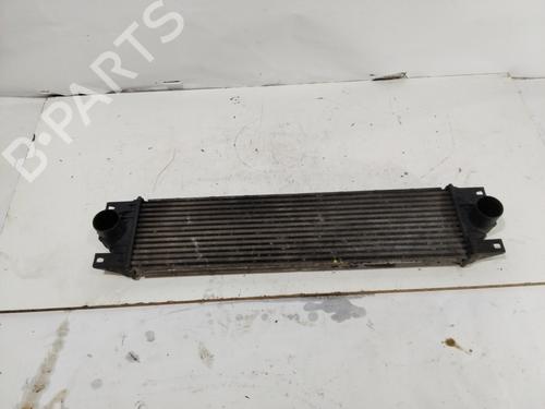 Intercooler RENAULT MASTER II Van (FD) 2.5 dCi 100 (FD0U, FD0V, FD3U, FD3V, FD8U, FD8V) | BP30926834M30
