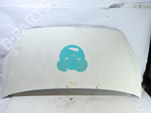 hood-iveco-daily-iv-van-2006-2007-2008-2009-2010-2011-2012-38935354 main image