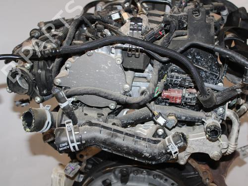 Engine FORD FOCUS III  | BP13939785M1 