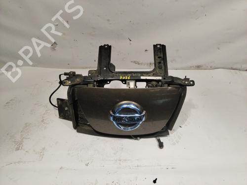 Used Grille NISSAN LEAF (ZE1) Electric (218 hp) 21606035