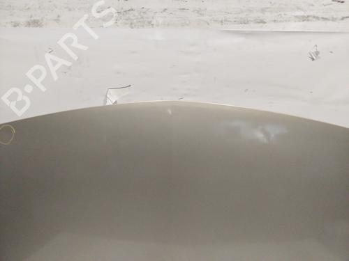 Hood RENAULT MEGANE II (BM0/1_, CM0/1_) 1.9 dCi | BP22697656C1 