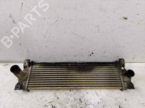 BP17612937M30 | Intercooler SSANGYONG ACTYON I 2.0 Xdi BP17612937M30