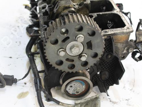 Cylinder head SEAT IBIZA III (6L1)  | BP16128072M5 