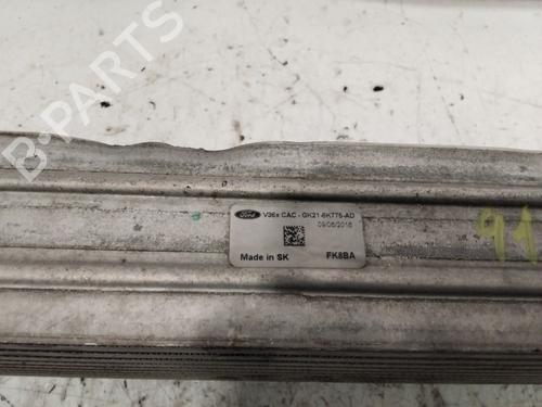Intercooler FORD TRANSIT V363 Platform/Chassis (FED, FFD)  | BP27878019M30 