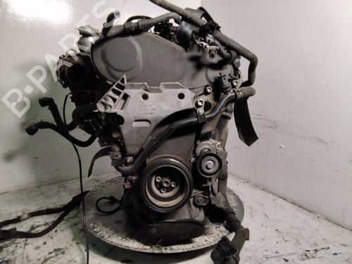 Engine SKODA OCTAVIA II (1Z3) 2.0 TDI | BP28595993M1