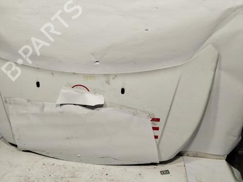 Hood FORD TRANSIT CONNECT V408 Box Body/MPV  | BP29547643C1 