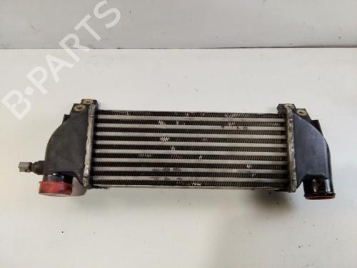 Intercooler FORD TRANSIT CONNECT (P65_, P70_, P80_) 1.8 TDCi | BP29851951M30
