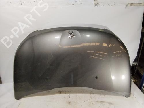 Used Hood Hood 36869668 36869668
