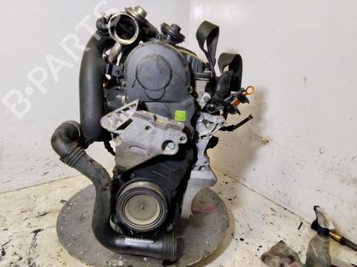 Engine SEAT TOLEDO III (5P2)  | BP34480963M1  - Image 5