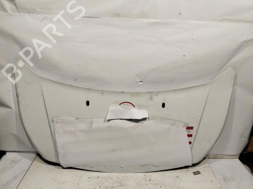 Hood FORD TRANSIT CONNECT V408 Box Body/MPV  | BP29547643C1 
