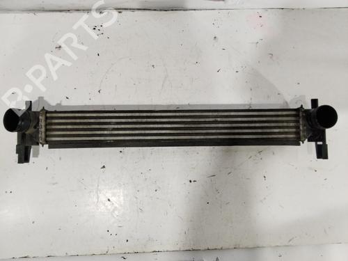 Used Intercooler VW POLO V (6R1, 6C1) [2009-2022]  31093956