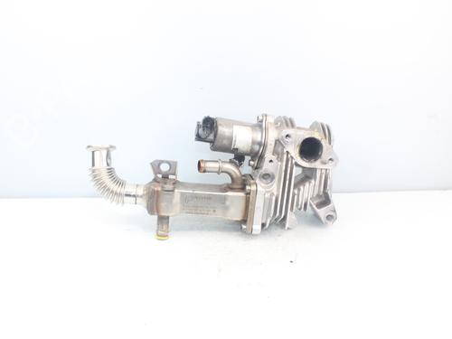 Egr RENAULT MEGANE II (BM0/1_, CM0/1_) 1.5 dCi (BM02, BM13, BM2A, CM02, CM13) | BP17383513M69 